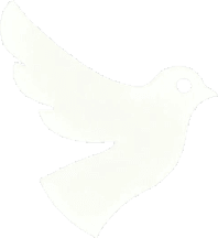 Chattenger pigeon logo